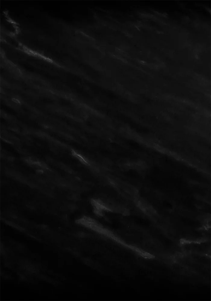 body-content-background